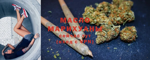 гидра Медвежьегорск