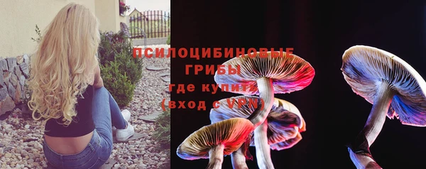гидра Медвежьегорск