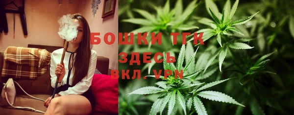 твердый Мегион