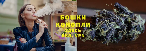твердый Мегион