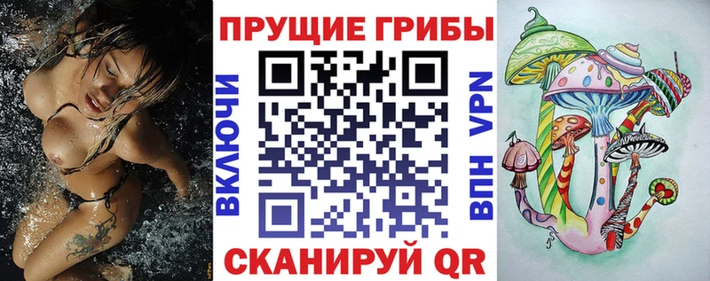 Купить Полярные Зори Галлюциногенные грибы Psilocybine cubensis