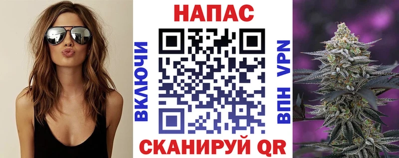 Каннабис MAZAR  Купить где  Полярные Зори 