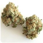 Шишки "White Widow"  (Белая вдова)  Гидропоника -  Бошка VHQ в Полярных Зорях